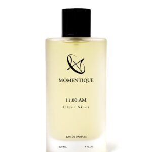 11:00 AM = Clear Skies